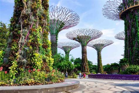 Singapore: History, Culture, Traditions, Tourism, Food & Drinks.